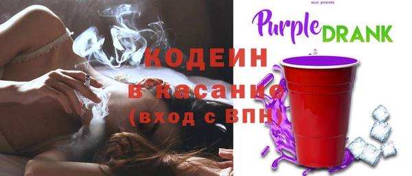 соль ск Богданович