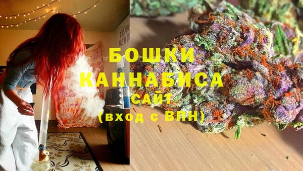 соль ск Богданович