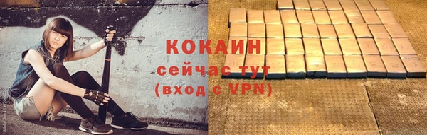 соль ск Богданович