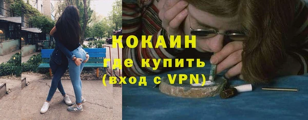 соль ск Богданович