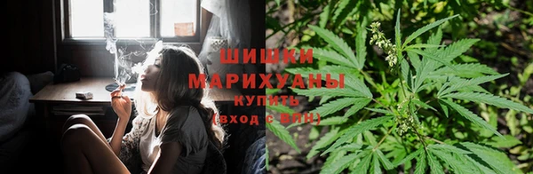 mdma Богородицк