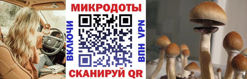 где продают наркотики  Бодайбо  Псилоцибиновые грибы Magic Shrooms 