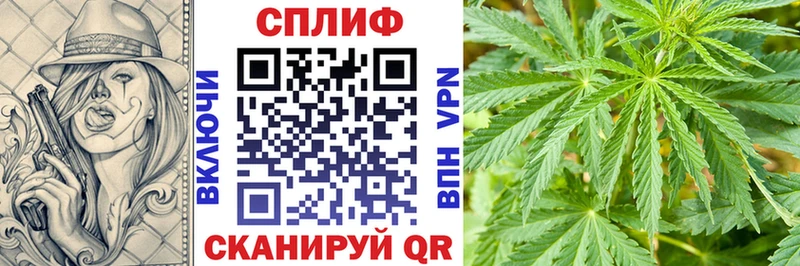 МЕГА как войти  купить  сайты  Бодайбо  Каннабис MAZAR 